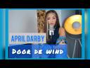 DOOR DE WIND - MISS MONTREAL (BESTE ZANGERS) - COVER BY APRIL DARBY